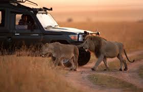 Packing Guide for African Adventures