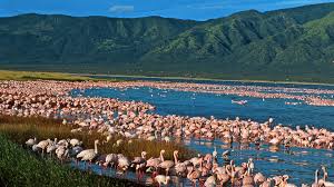 Great Rift Lakes