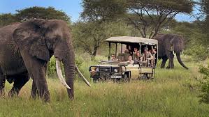 Luxury Masai Mara Fly-in Safari