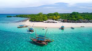 Zanzibar Beach Escape